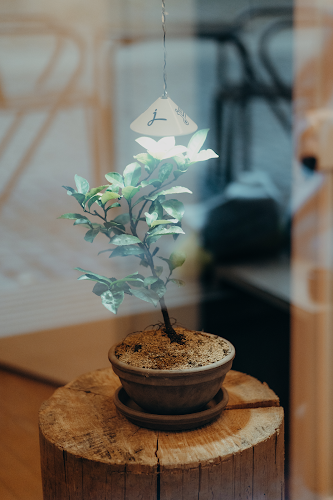 Brunngasse 52, 3011 Bern