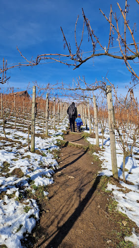Dorfstrasse 23, 8607 Seegräben