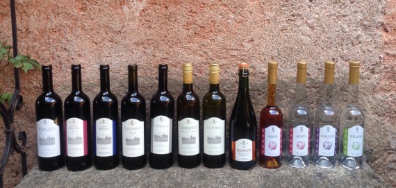 Tenuta Bally & von Teufenstein - Vezia