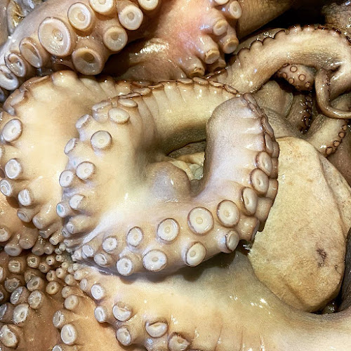 Vivo Bistrò - Gastronomie und Hotellerie