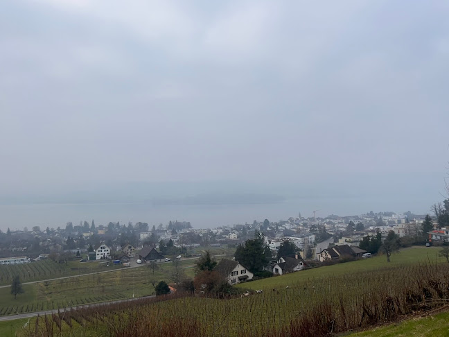 Heiri Bolleter Weinbau GmbH - Meilen