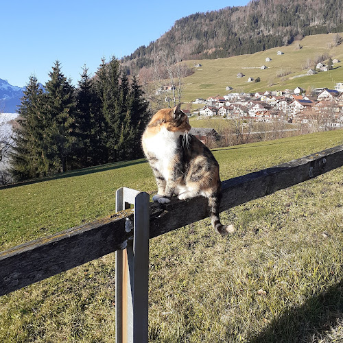 Dorfstrasse 21, 8873 Amden