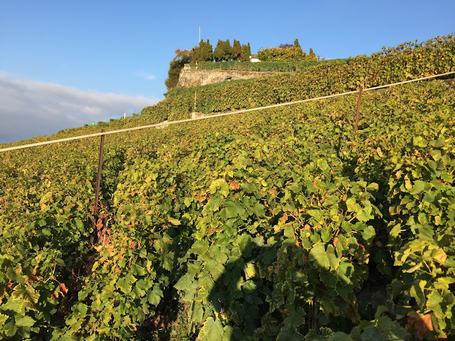 Opinii despre deuxfoiscinq în Lausanne - Gastronomie und Hotellerie