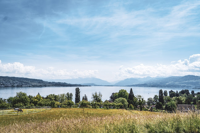 Restaurant Landgasthof Halbinsel Au - Wädenswil