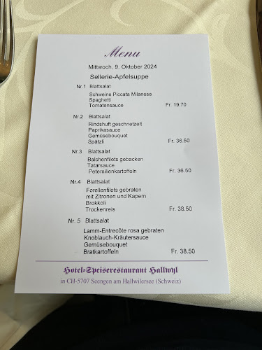 Opinii despre Hotel-Speiserestaurant Hallwyl AG în Seengen - Gastronomie und Hotellerie