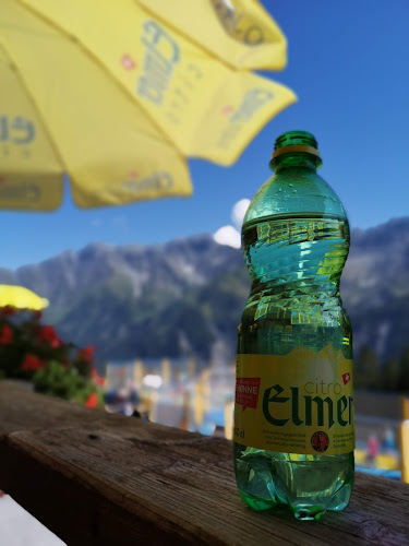 Ämpächli, 8767 Elm