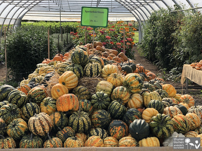 Opinii despre GnussBär - Thun în Thun - Gastronomie und Hotellerie