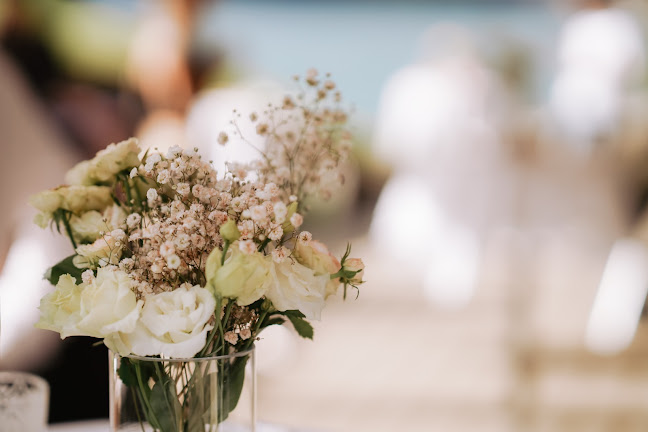 Löwen Wimmis - Gastronomie und Hotellerie