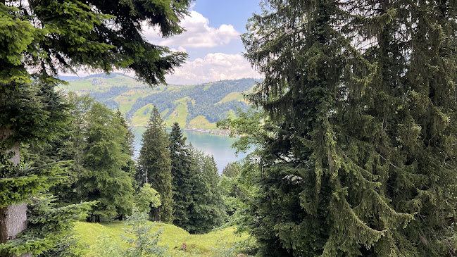 Alpwirtschaft Schornenrain - Sattel