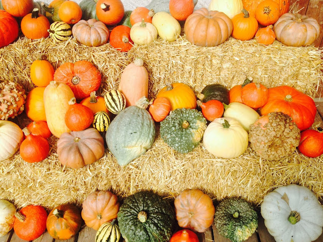 Comentarii opinii despre Christian Vaney