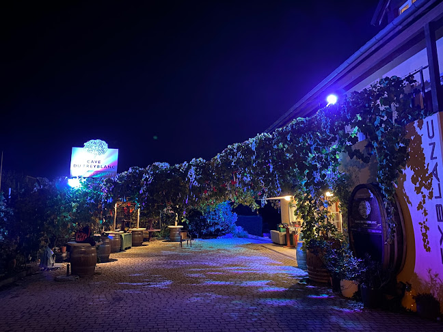 Comentarii opinii despre Cave Du Treyblanc