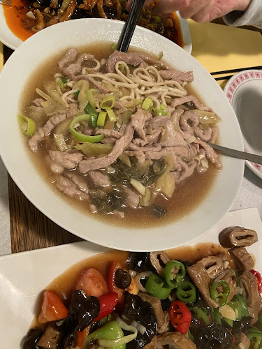 Opinii despre Restaurant Henan 河南人家 în Renens - Gastronomie und Hotellerie