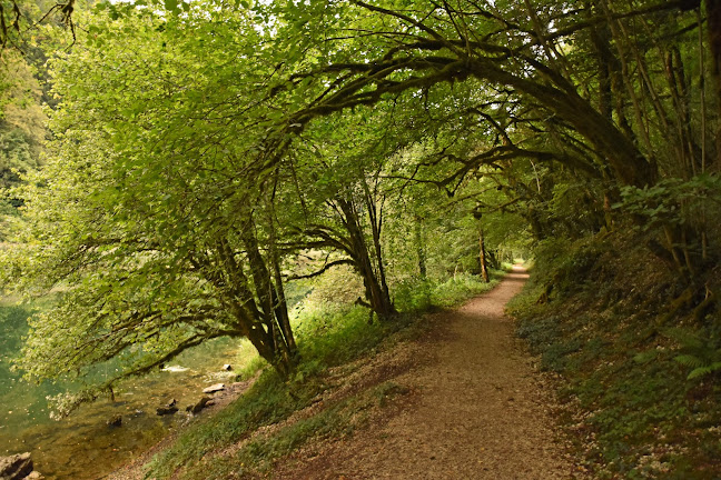Restaurant du Theusseret - Gastronomie und Hotellerie
