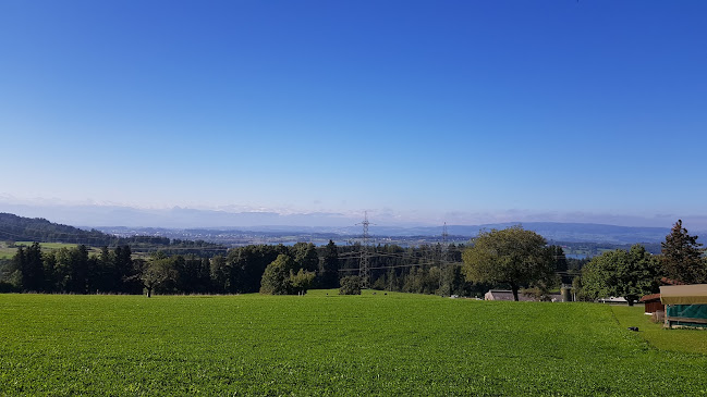 Höhenstrasse 7, 8330 Pfäffikon