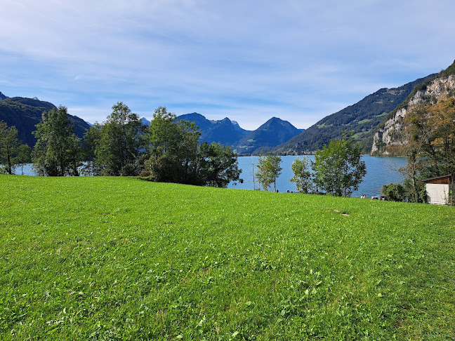 Burg-Strahlegg GmbH - Weesen