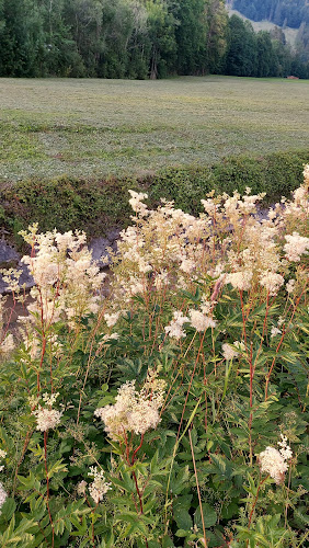 Obereuthalerstrasse 34, 8844 Euthal