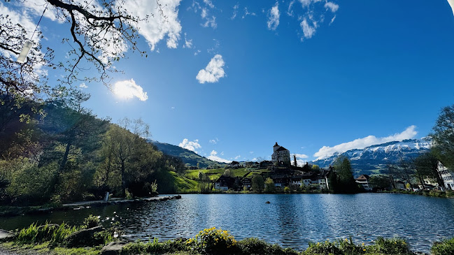 St. GallerStrasse 33, 9470 Buchs