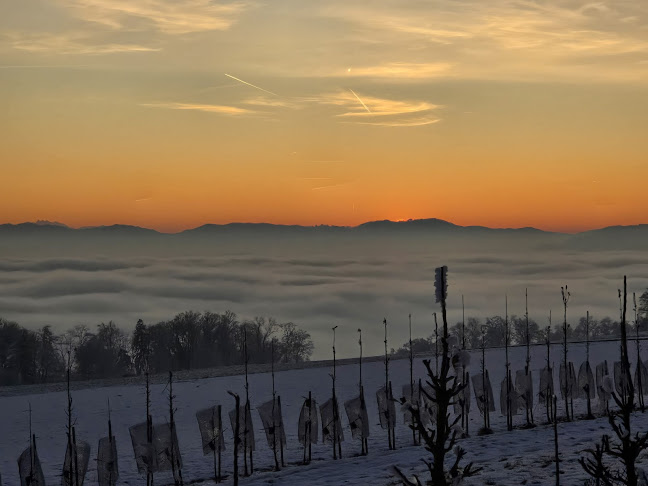 Stelzenhofstrasse 11, 8570 Weinfelden