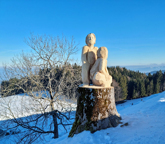 Comentarii opinii despre Wirtschaft Rütegg