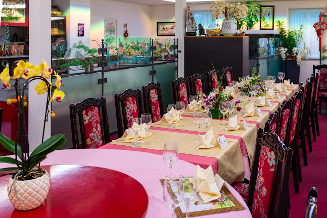 Yin Yang - Gastronomie und Hotellerie