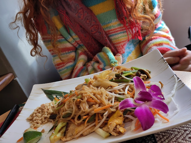 Bambus - Gastronomie und Hotellerie