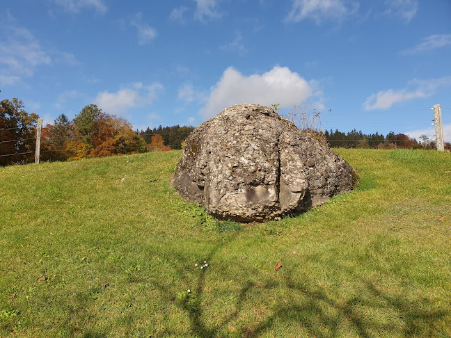 Opinii despre Der Landladen în Aeugst am Albis - Gastronomie und Hotellerie