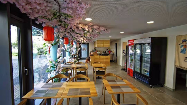 Comentarii opinii despre kaixin-sushi