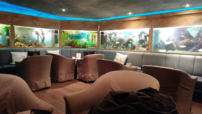 Aquarius Kinobar - Gastronomie und Hotellerie