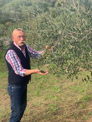 Nicoletti Manufaktur - Bülach