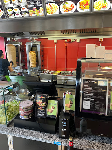 Comentarii opinii despre Mega Kebap