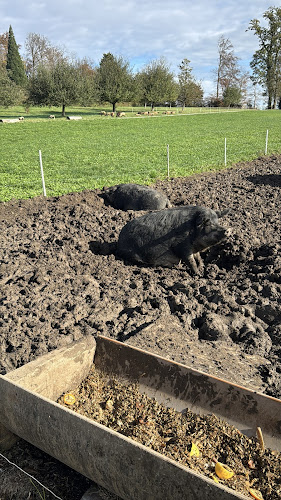 HofCafe - Gastronomie und Hotellerie