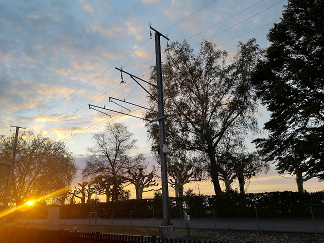 Opinii despre Baja Beach Club în Rorschach - Gastronomie und Hotellerie