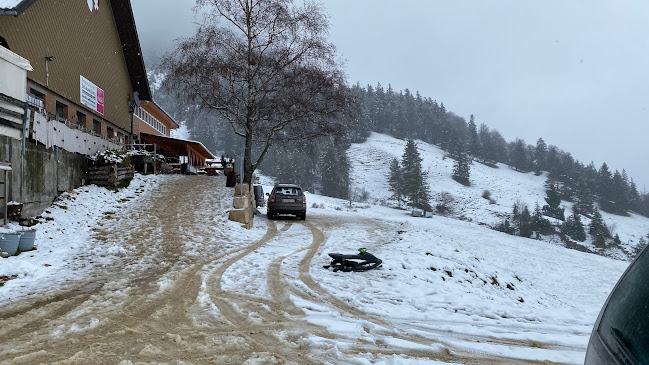 Comentarii opinii despre Schauenburg