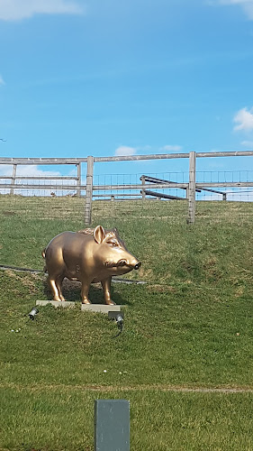 Comentarii opinii despre Albis