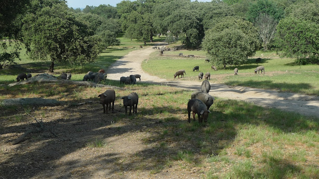 Opinii despre DIE AUFSCHNEIDER în Männedorf - Gastronomie und Hotellerie