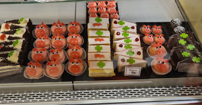 Comentarii opinii despre Schnyder Erich