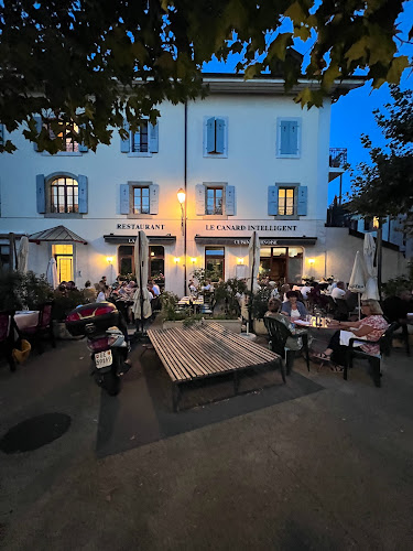 Le Canard Intelligent - Carouge