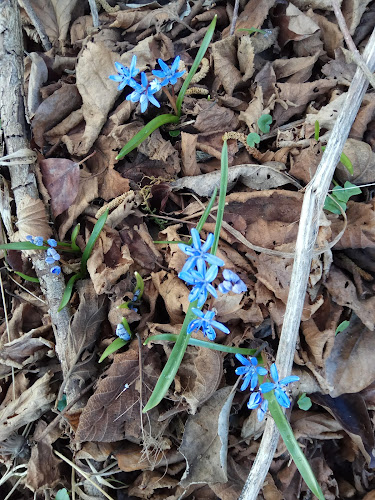 Opinii despre LGV Ladengenossenschaft Villnachern în Villnachern - Gastronomie und Hotellerie