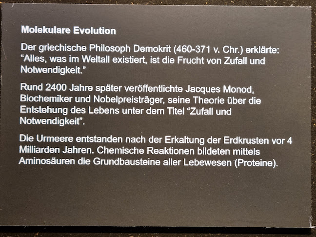 Opinii despre dieci Pizza&Pasta Restaurant Rapperswil în Rapperswil-Jona - Gastronomie und Hotellerie