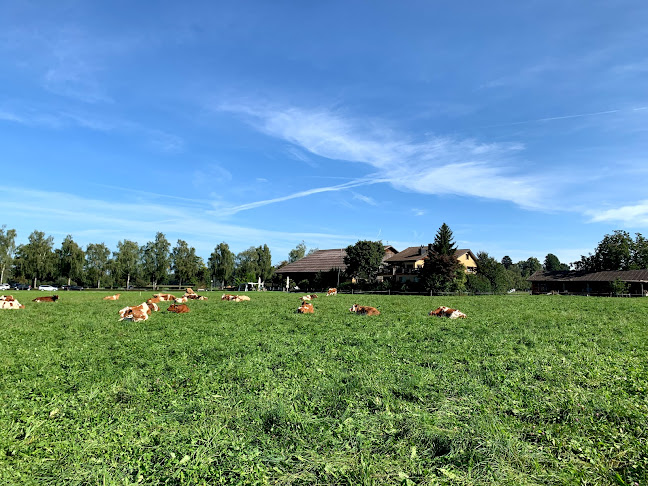 Comentarii opinii despre Moni & Hanspi's Bäsebeiz