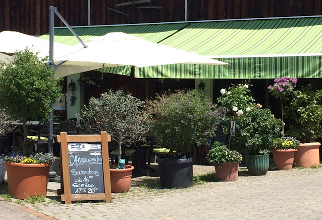 Comentarii opinii despre Bäsebeiz Chopfholz