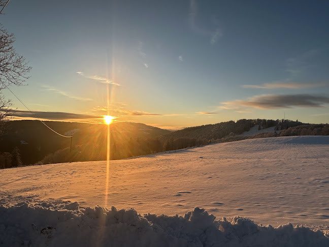 La Werdtberg Hôtel, Restaurant. Chez Armon et Felix - Gastronomie und Hotellerie
