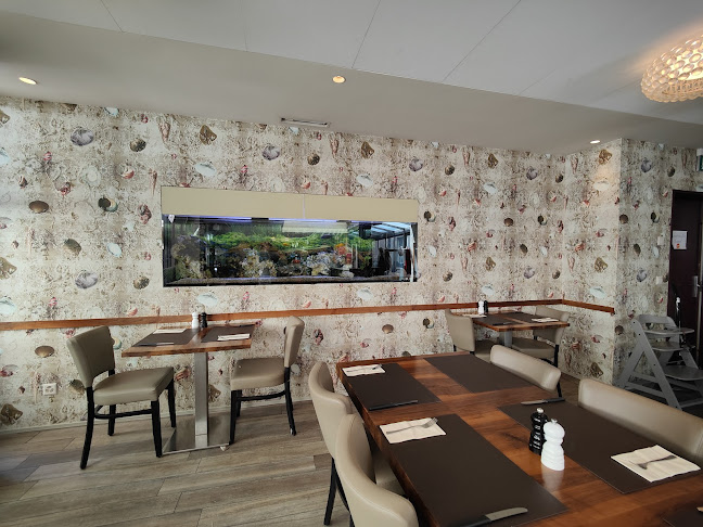 Comentarii opinii despre la bocca City