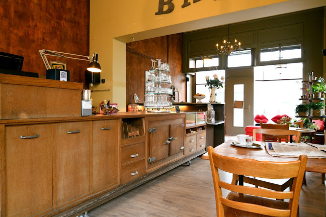 Comentarii opinii despre Sabor