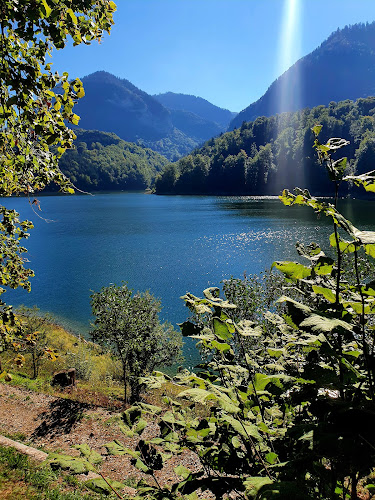 Le Crêt 20, 1653 Crésuz