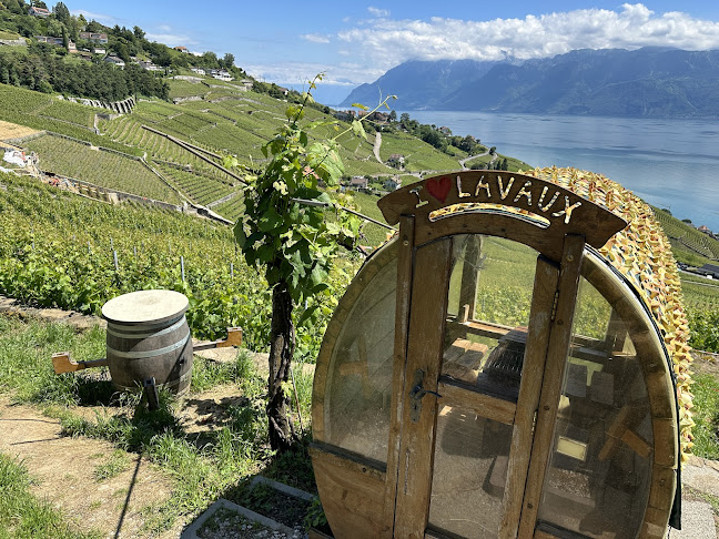 Chem. du Daley 119, 1095 Bourg-en-Lavaux