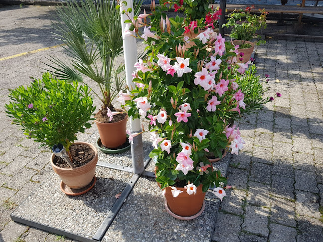 Falken - Gastronomie und Hotellerie