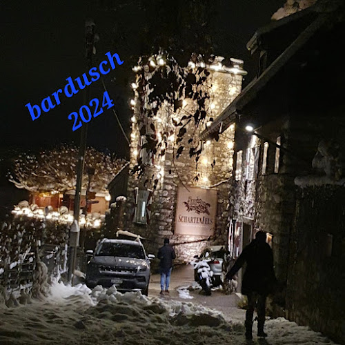 Schloss Schartenfels - Wettingen