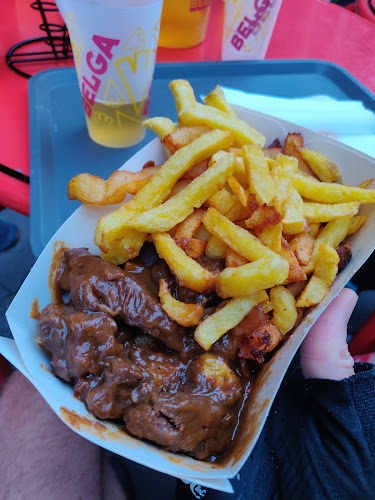 Comentarii opinii despre BELGA