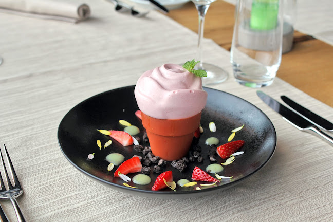 Comentarii opinii despre elemänt